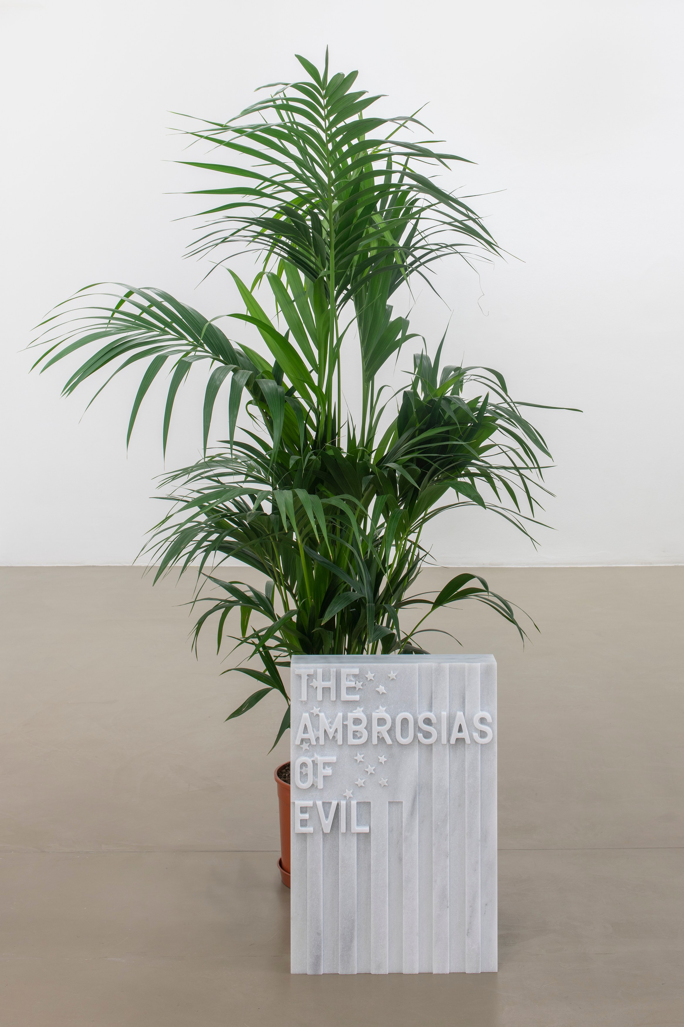 Rirkrit Tiravanija, untitled 2020 (once upon a time) (after jasper johns) at Galerie Chantal Crousel, photo 13