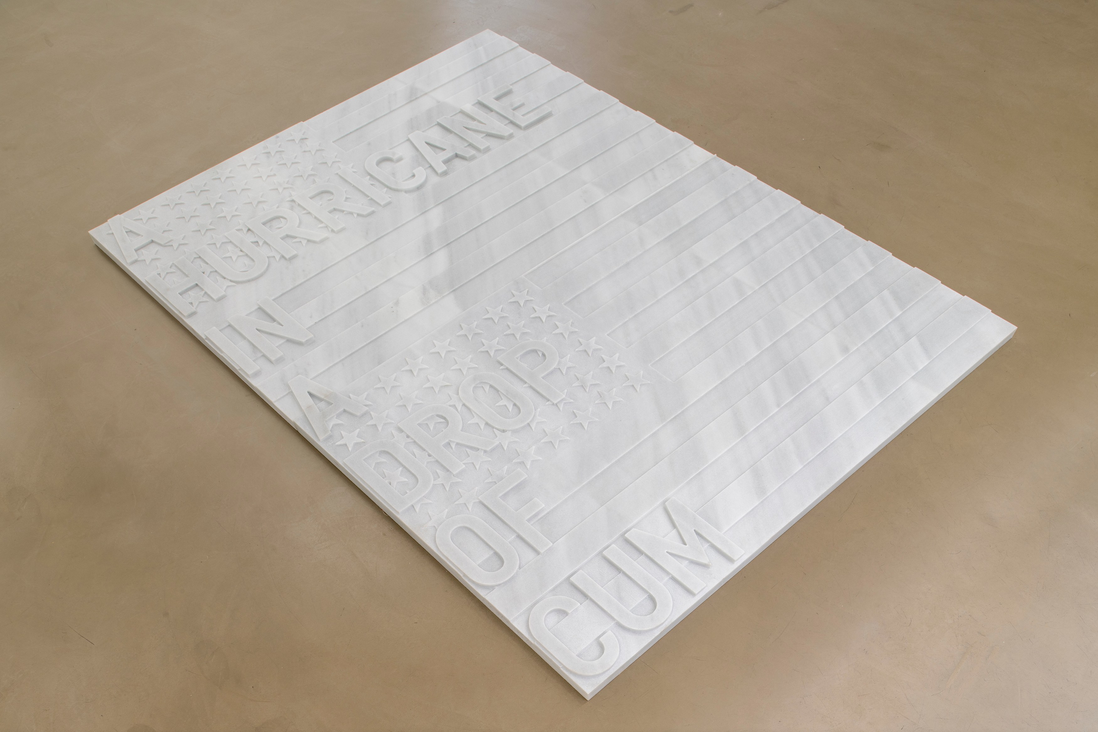 Rirkrit Tiravanija, untitled 2020 (once upon a time) (after jasper johns) at Galerie Chantal Crousel, photo 10