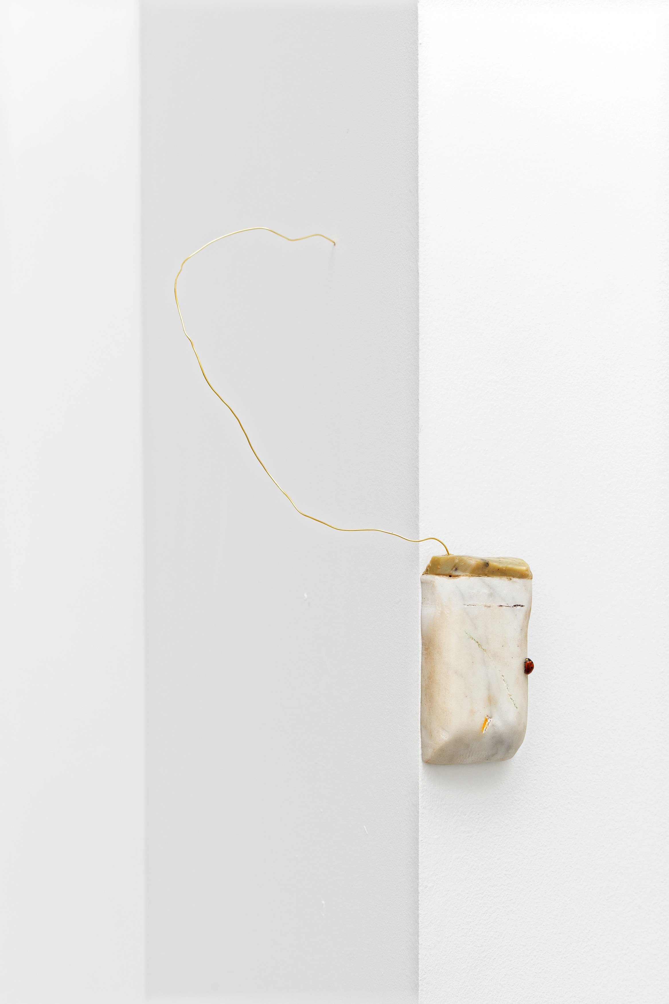 Gennariello part 2, Gennariello part 2 at Galerie Balice Hertling, photo 84