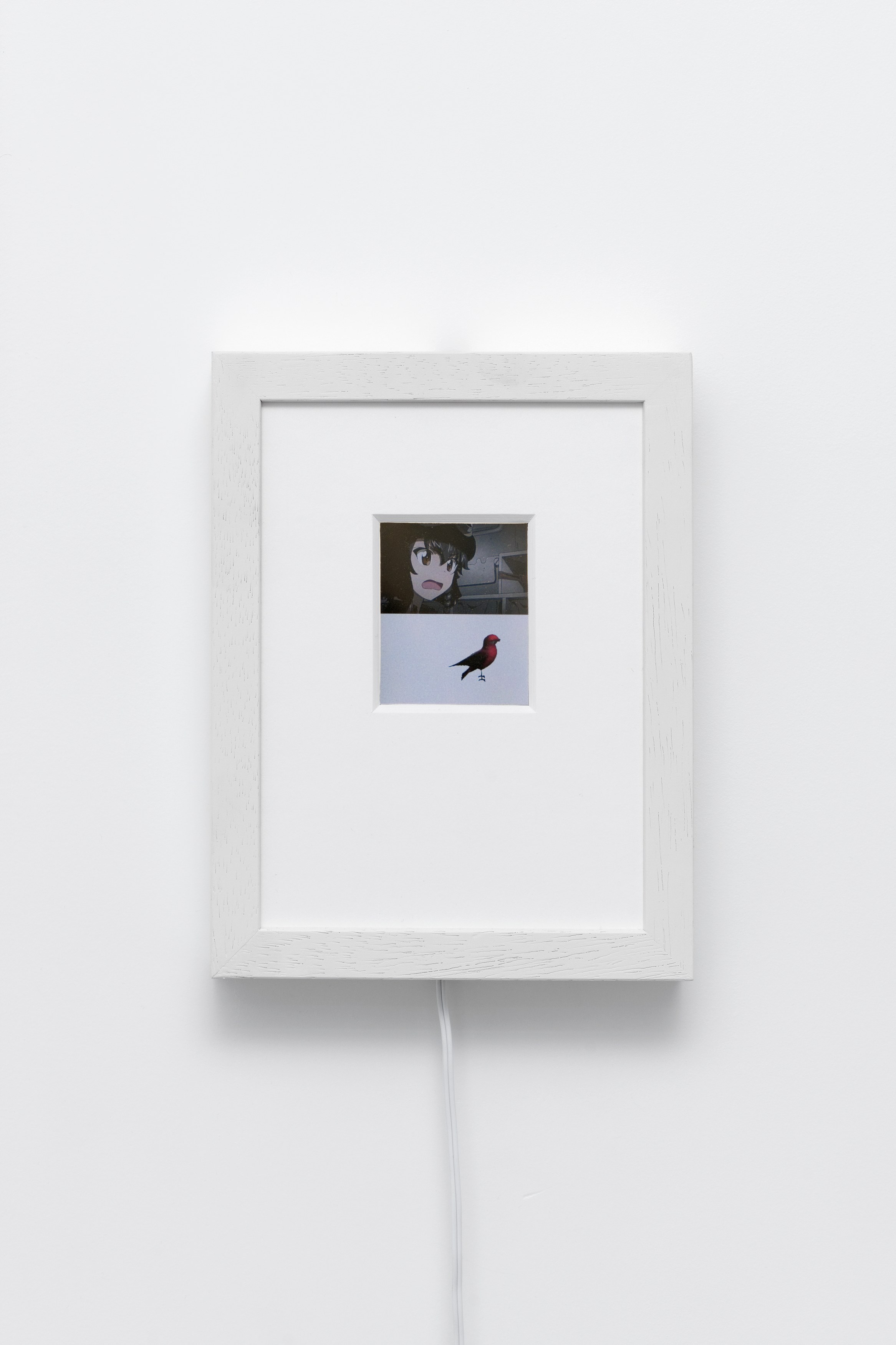 Gennariello part 2, Gennariello part 2 at Galerie Balice Hertling, photo 66