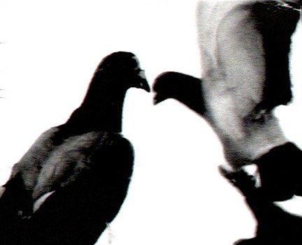 Untitled (Mayday Mayday), Untitled (Mayday Mayday) at Swiss Institute, photo 17
