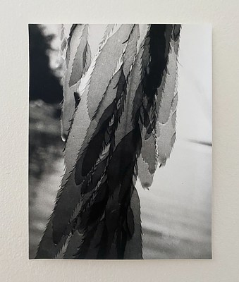 Image 22 of 26