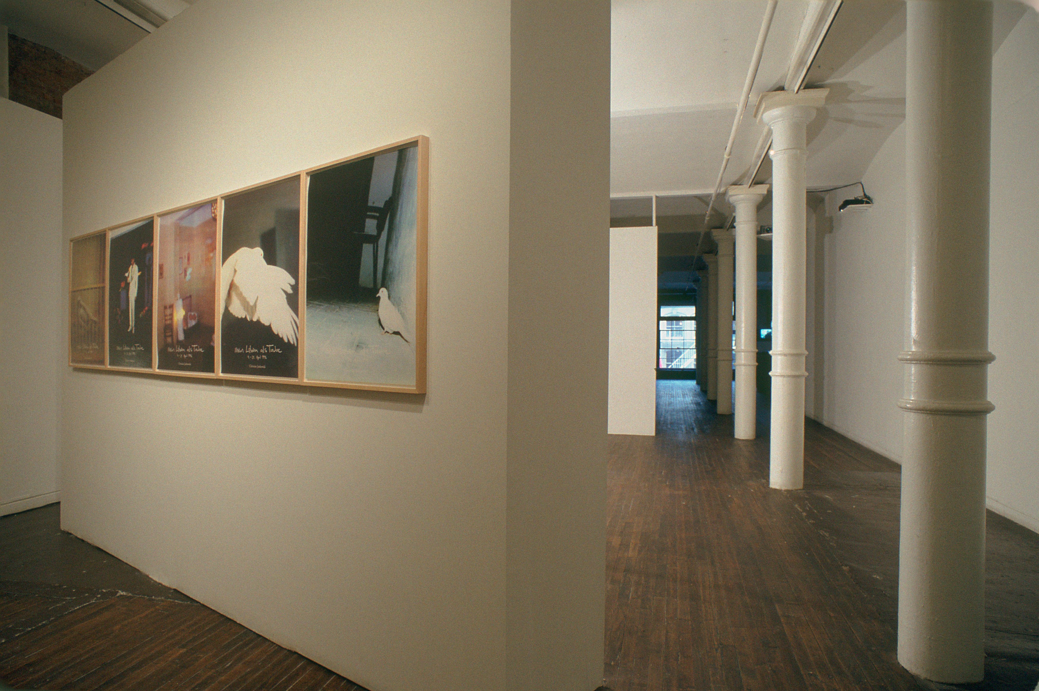 Christian Jankowski, Christian Jankowski at Swiss Institute, photo 2