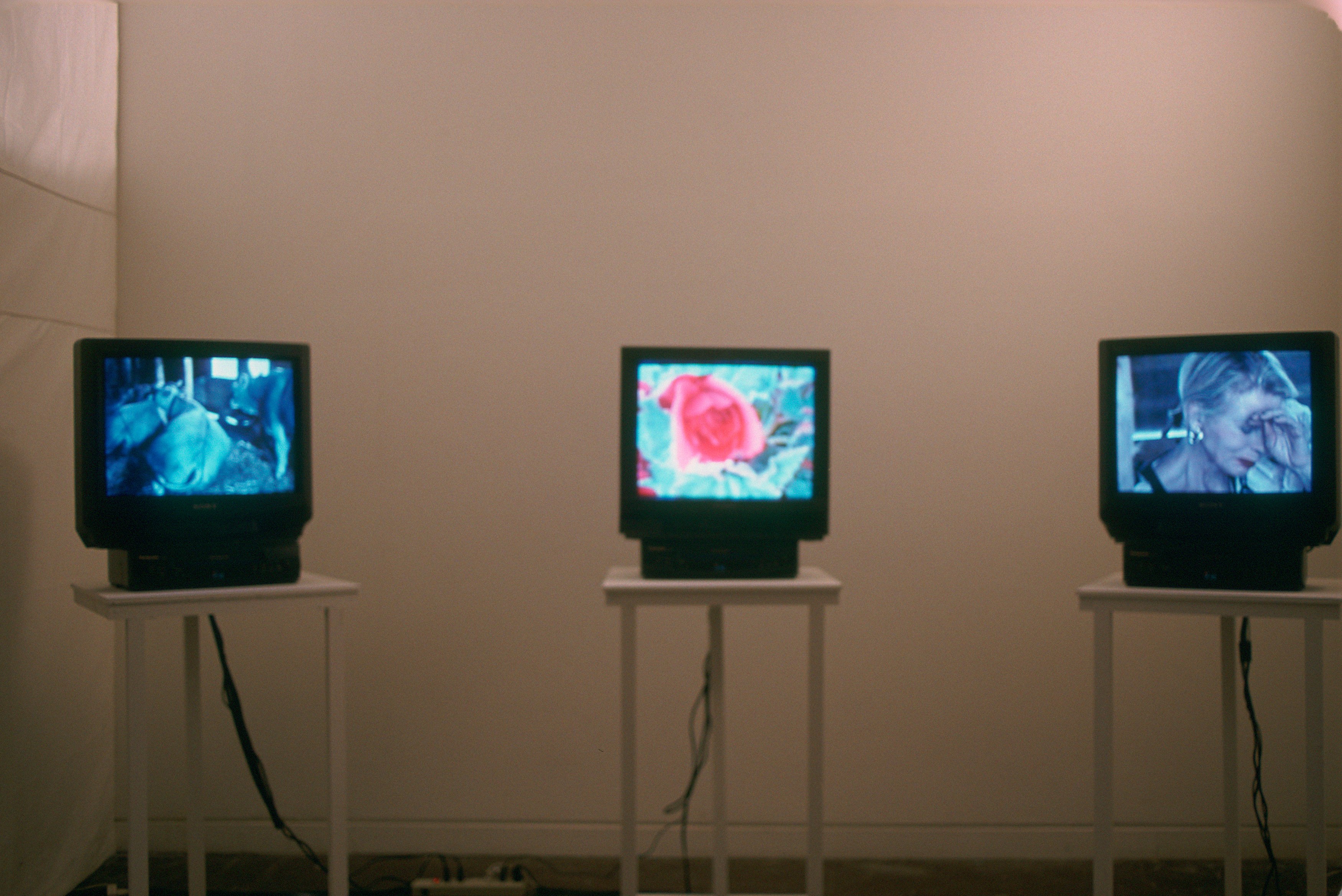 Prophecies, Prophecies at Swiss Institute, photo 13