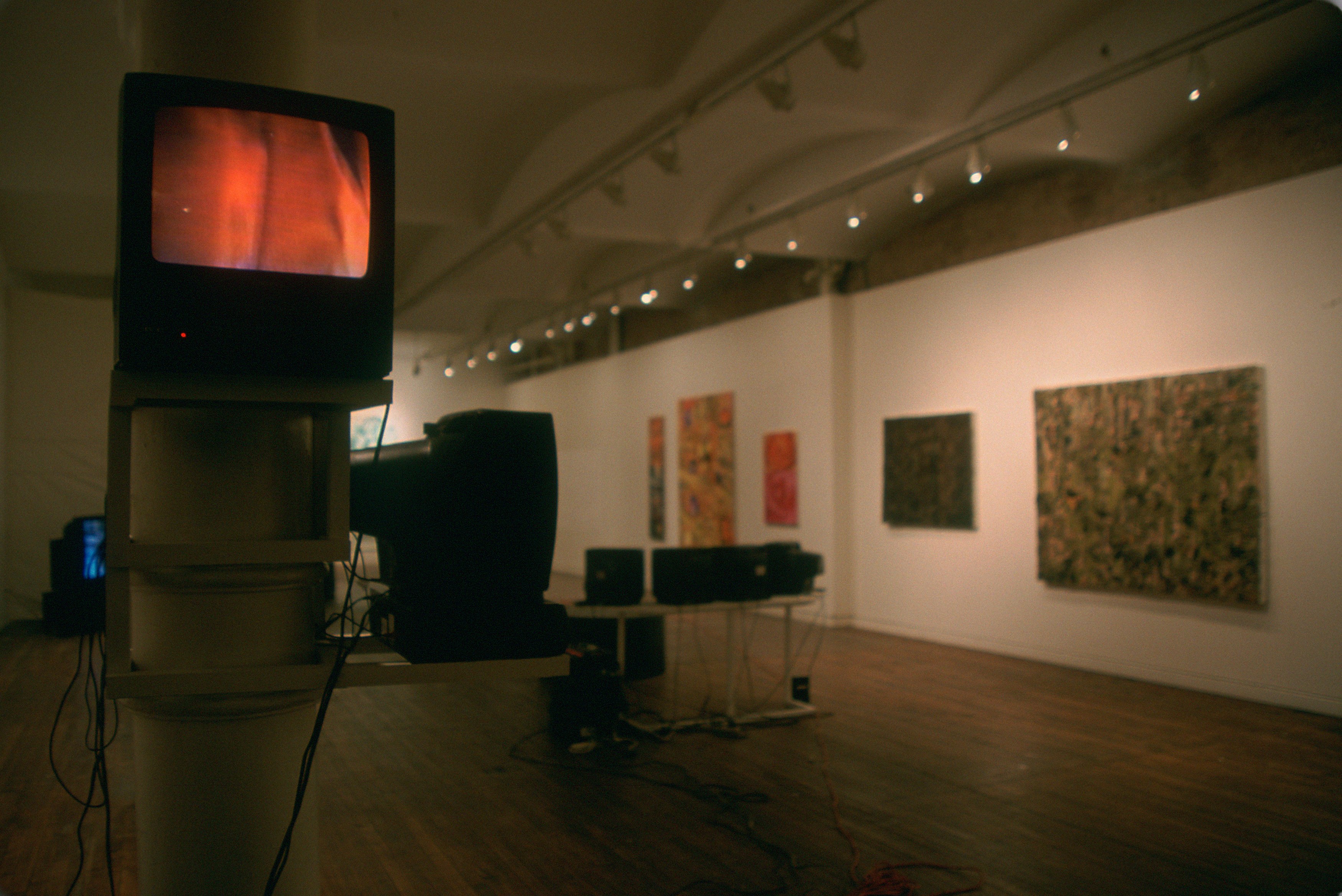 Prophecies, Prophecies at Swiss Institute, photo 6