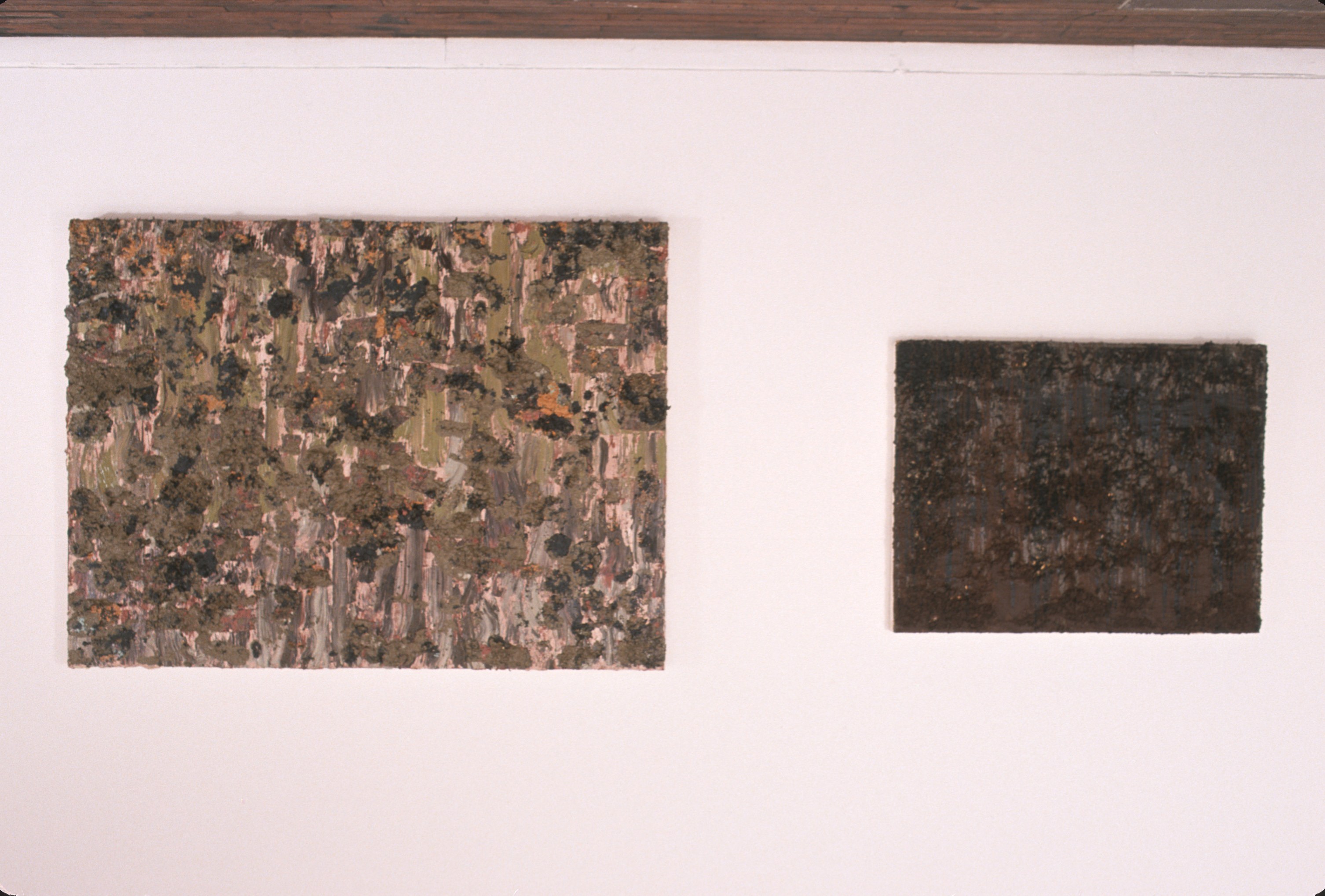 Prophecies, Prophecies at Swiss Institute, photo 17