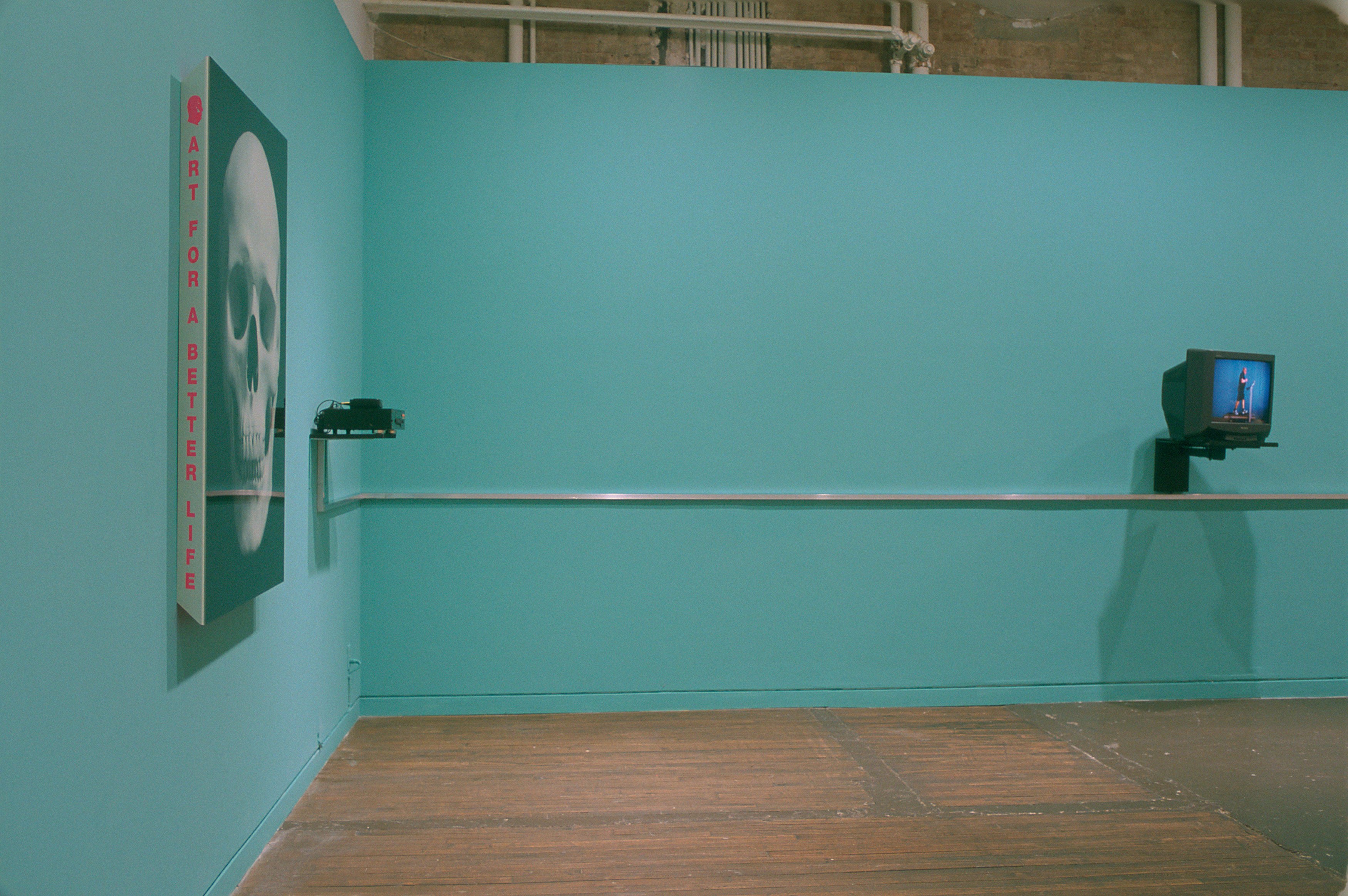 Urs Lüthi, Run for Your Life: Placebos & Surrogates at Swiss Institute, photo 4