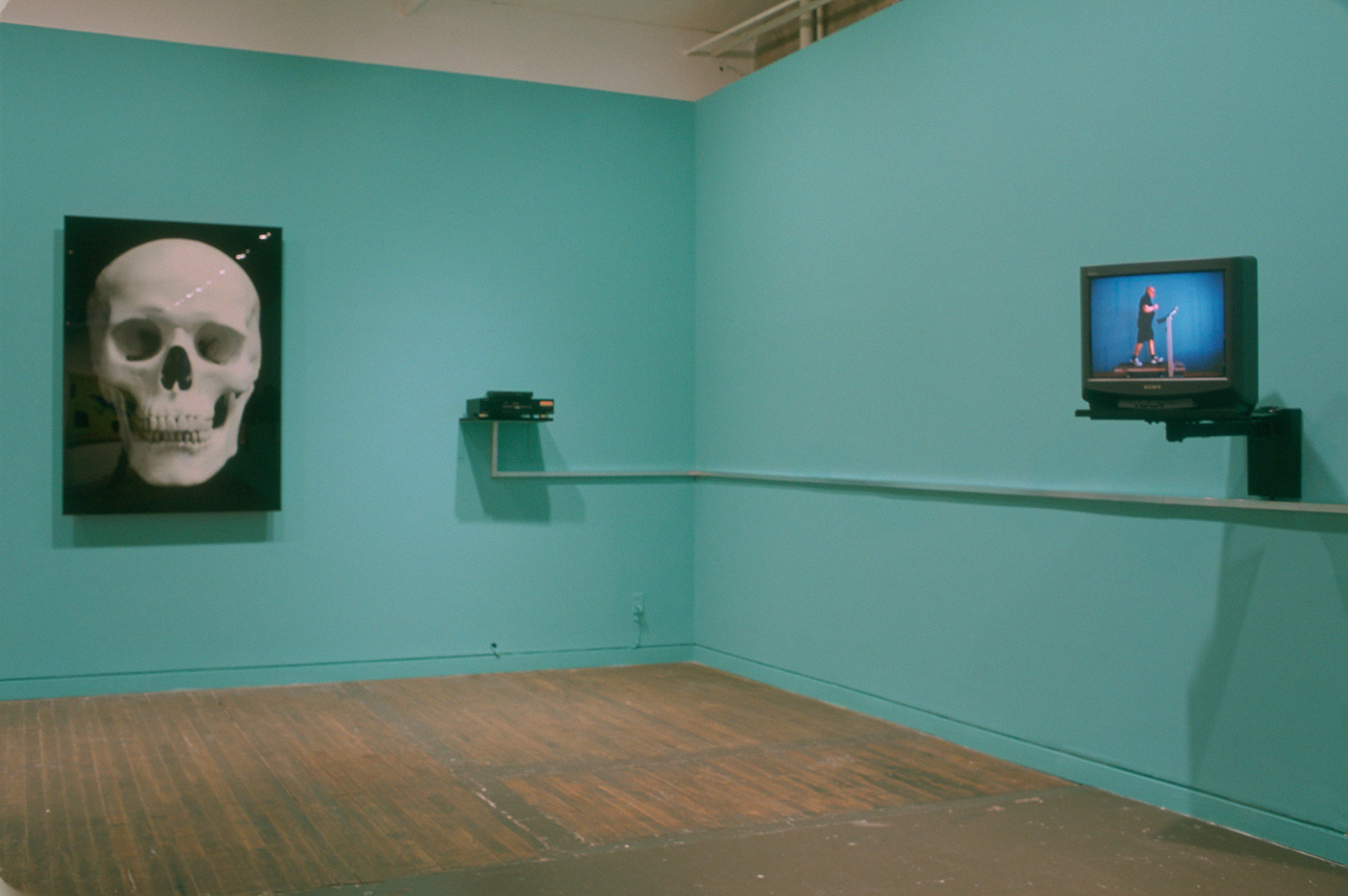 Urs Lüthi, Run for Your Life: Placebos & Surrogates at Swiss Institute, photo 5