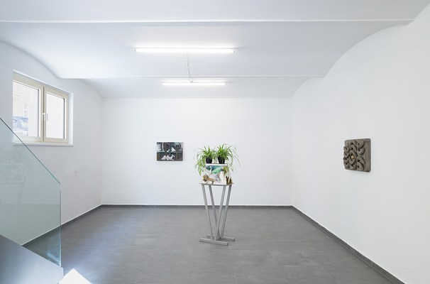 Image 1 of 44