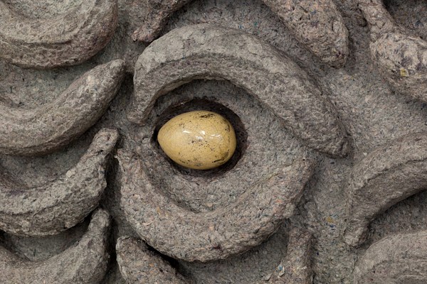 Image 13 of 44
