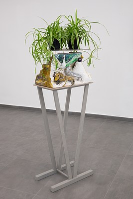Image 19 of 44