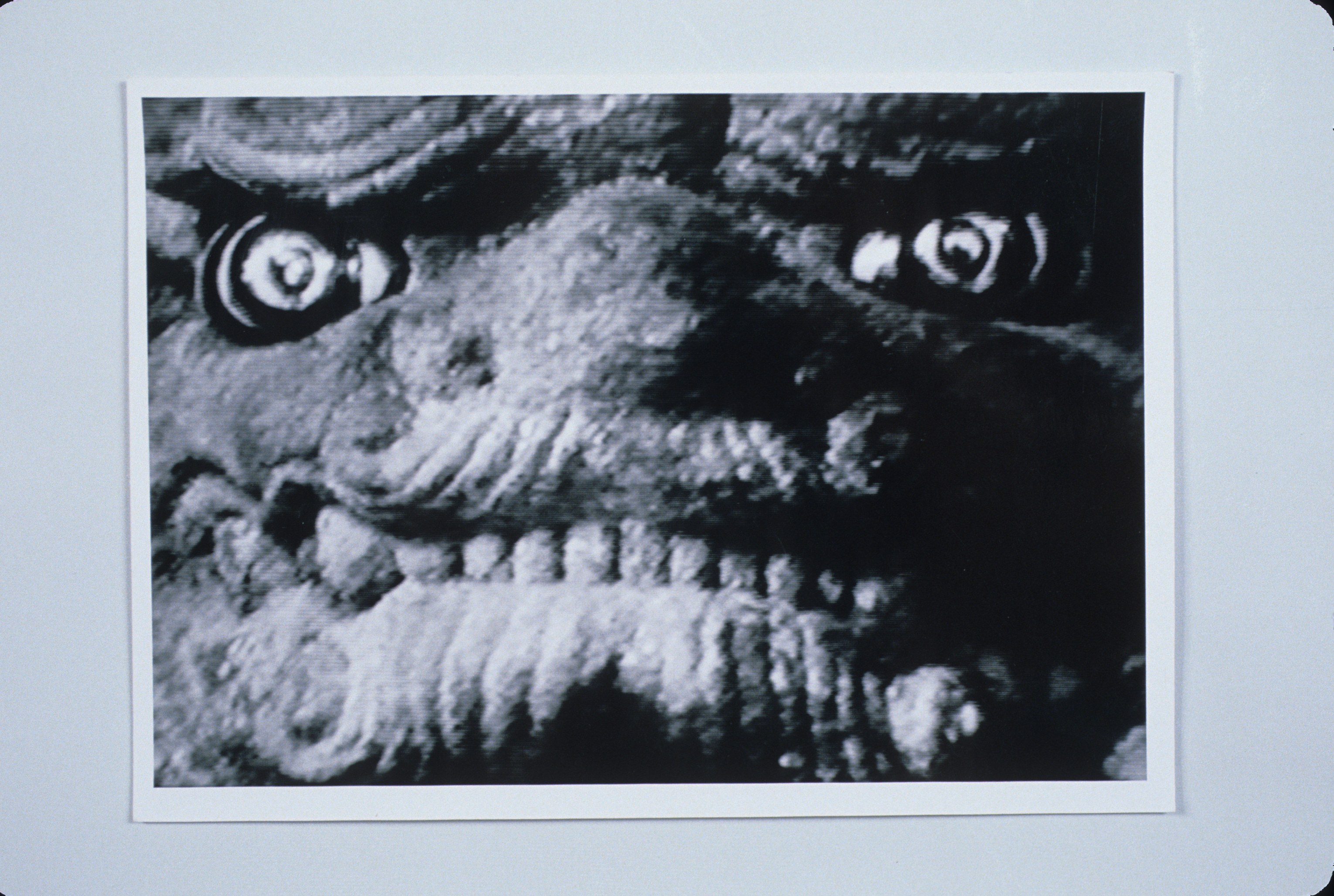 Shelly Silver, We Are Somewhere Else (Already) at Swiss Institute, photo 25