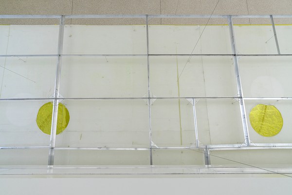 Image 7 of 31