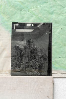 Image 16 of 31