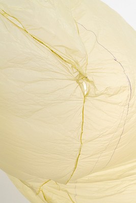 Image 13 of 31