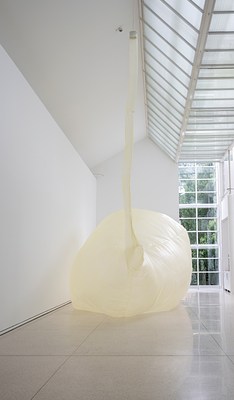 Image 11 of 31