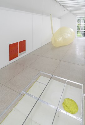 Image 6 of 31