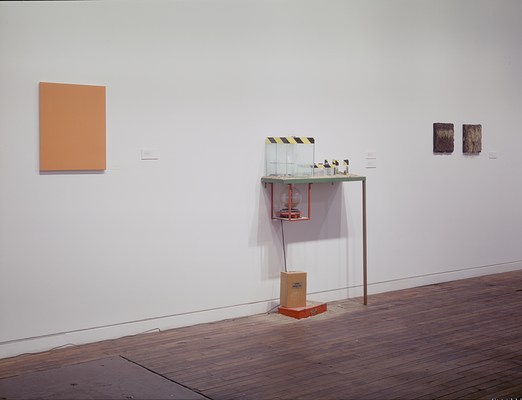Image 4 of 22