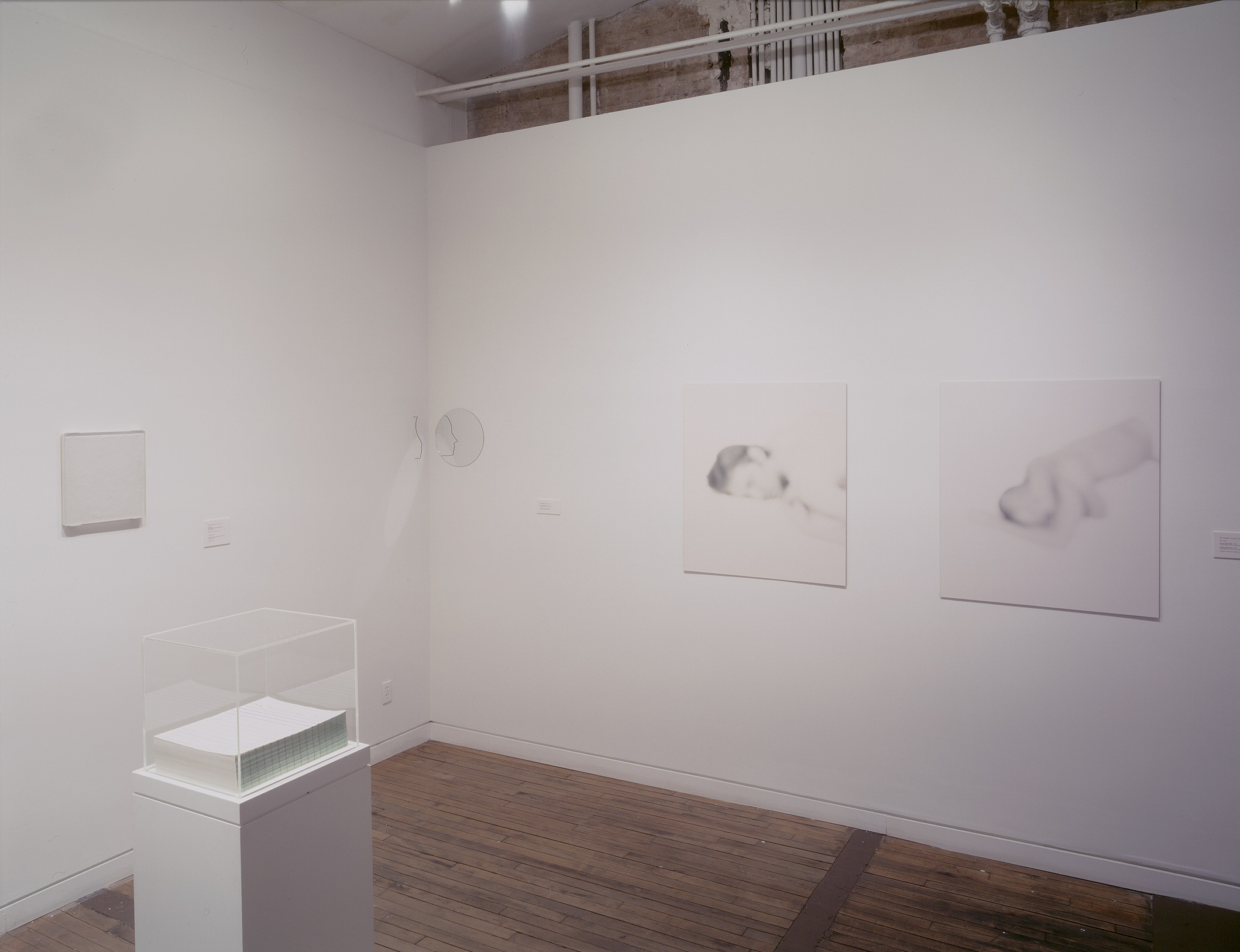 Time Wise, Time Wise at Swiss Institute, photo 5