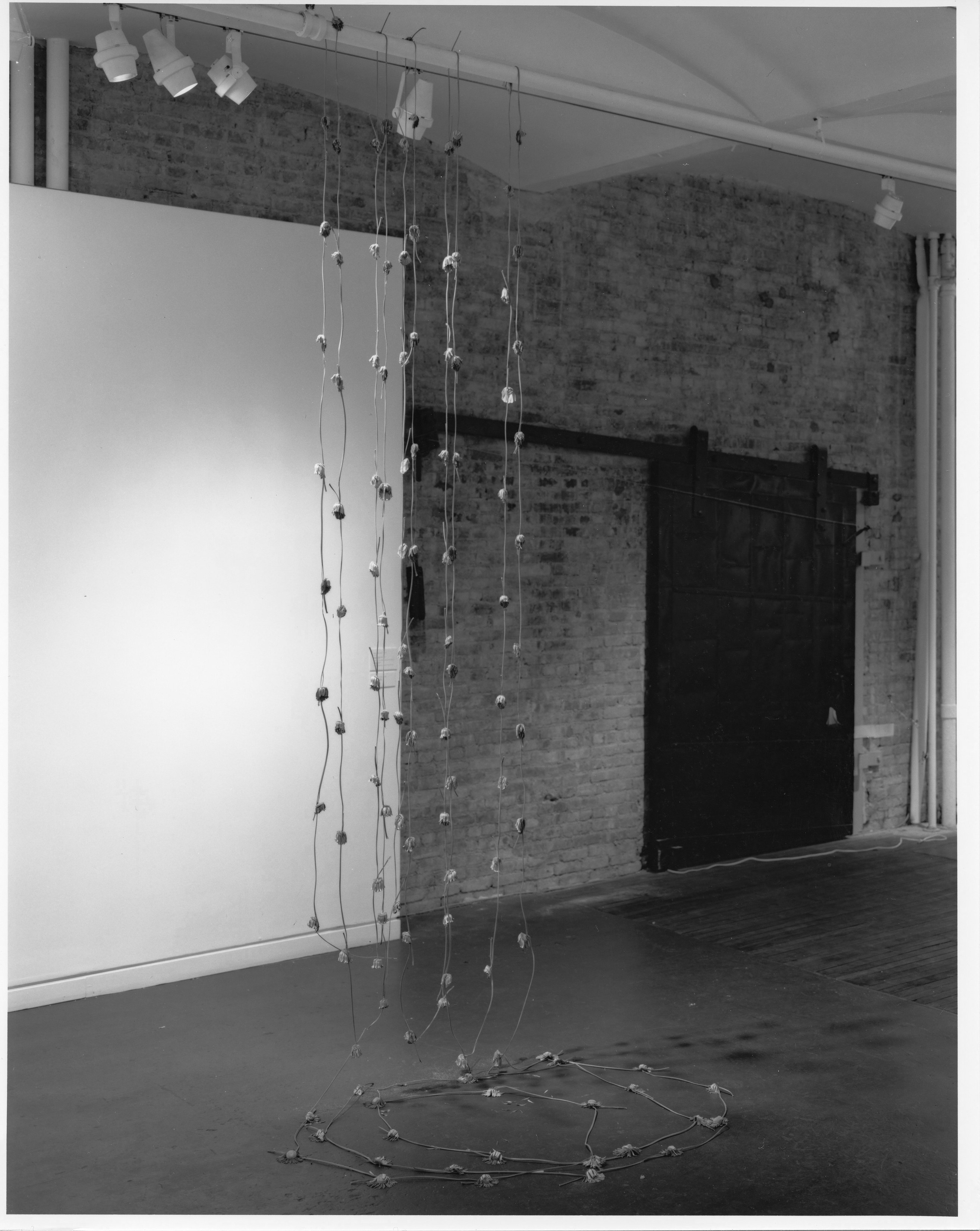 Time Wise, Time Wise at Swiss Institute, photo 12