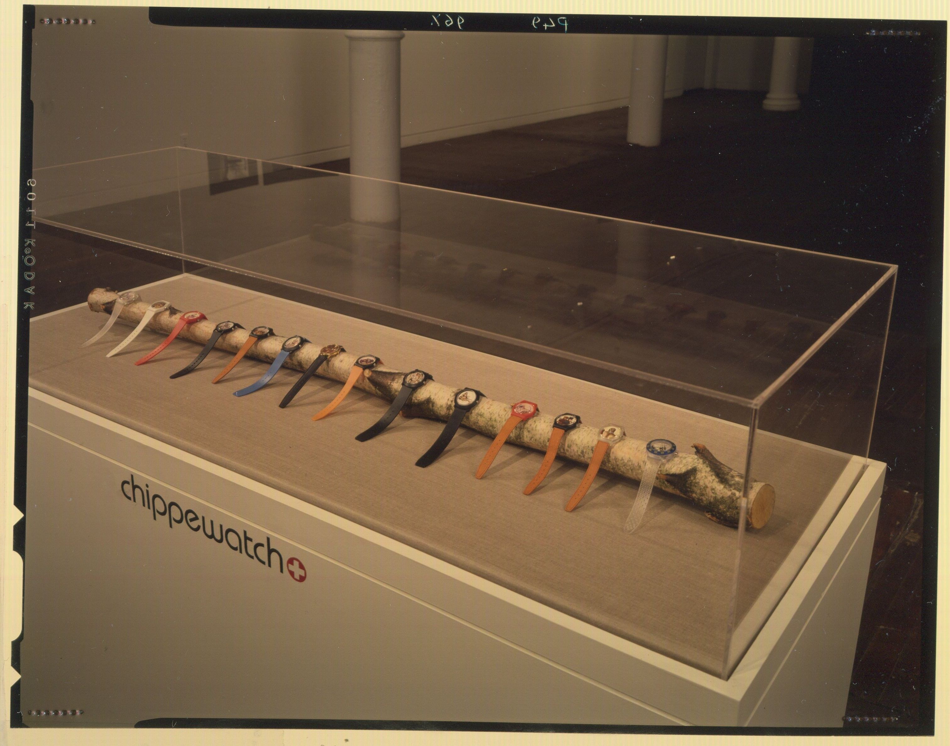 Brad Kahlhamer, Alan Michelson, Jolene Rickard, Red River Crossings: Contemporary Native American Artists Respond to Peter Rindisbacher (1806-1834) at Swiss Institute, photo 7