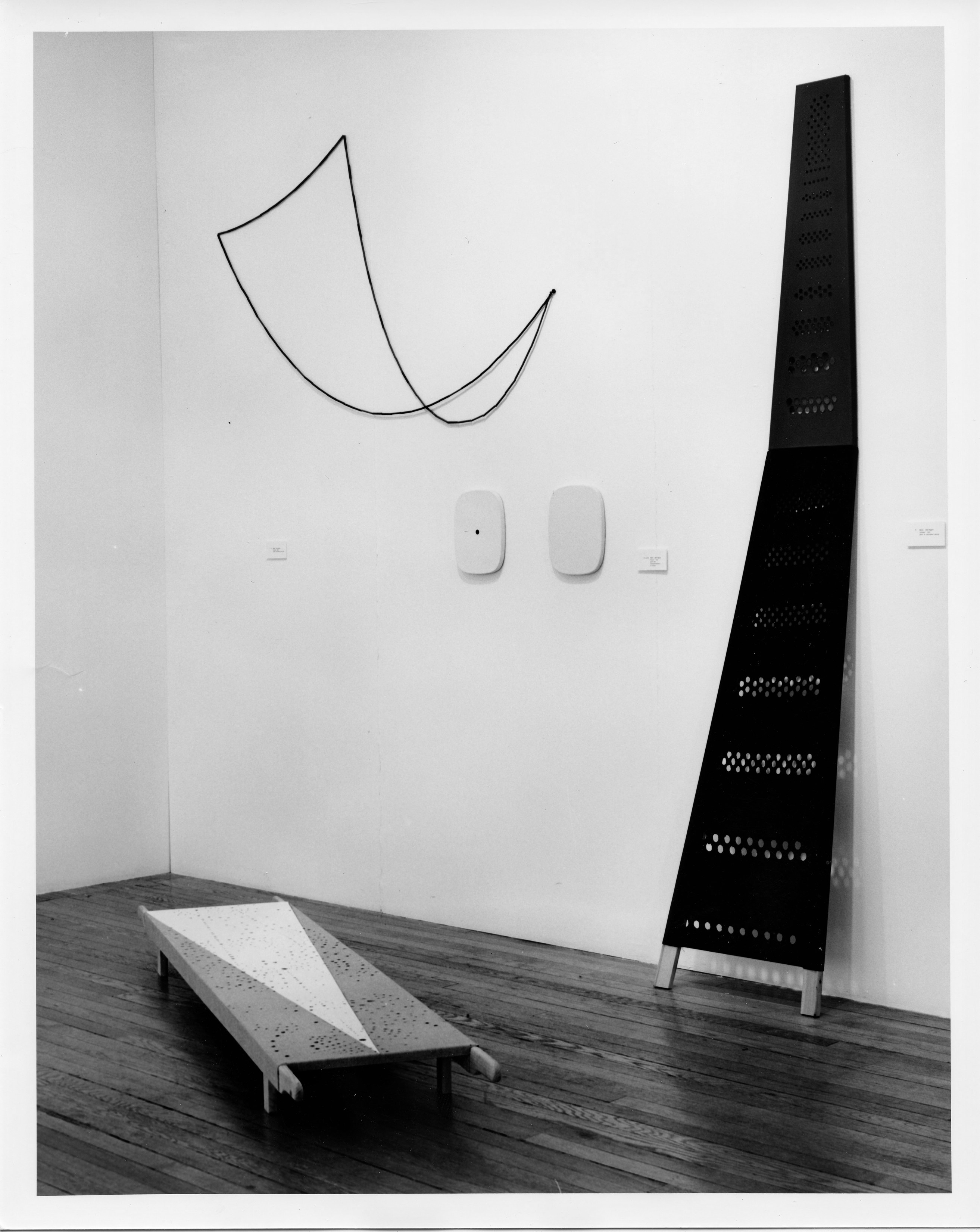 Ian Anüll, John Armleder, Olivier Mosset, Swiss Vision, Four Conceptualists at Swiss Institute, photo 5