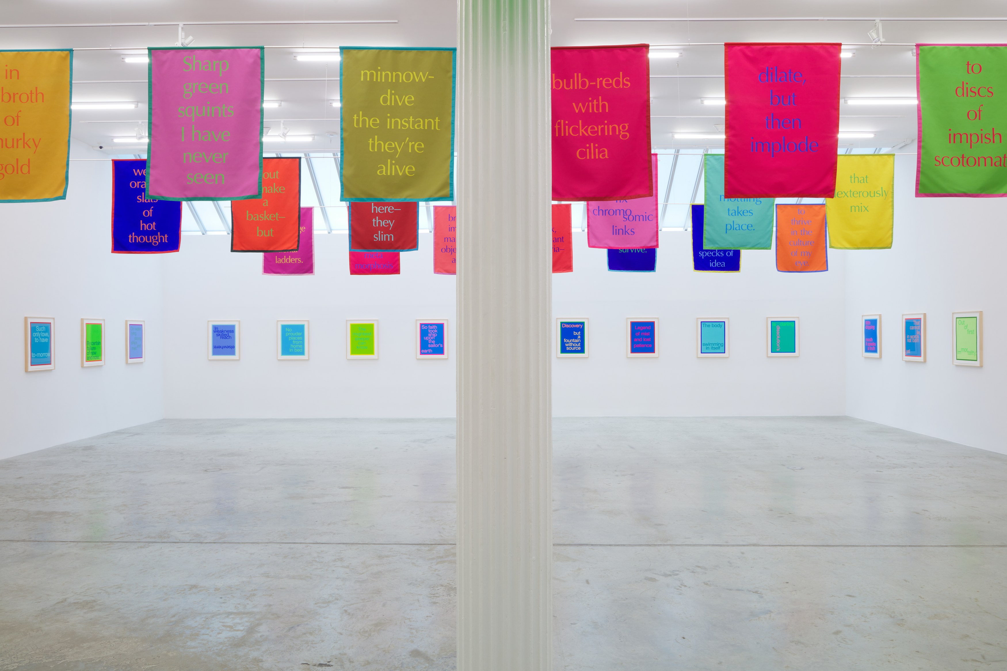 Renée Green, Excerpts at Bortolami, photo 2
