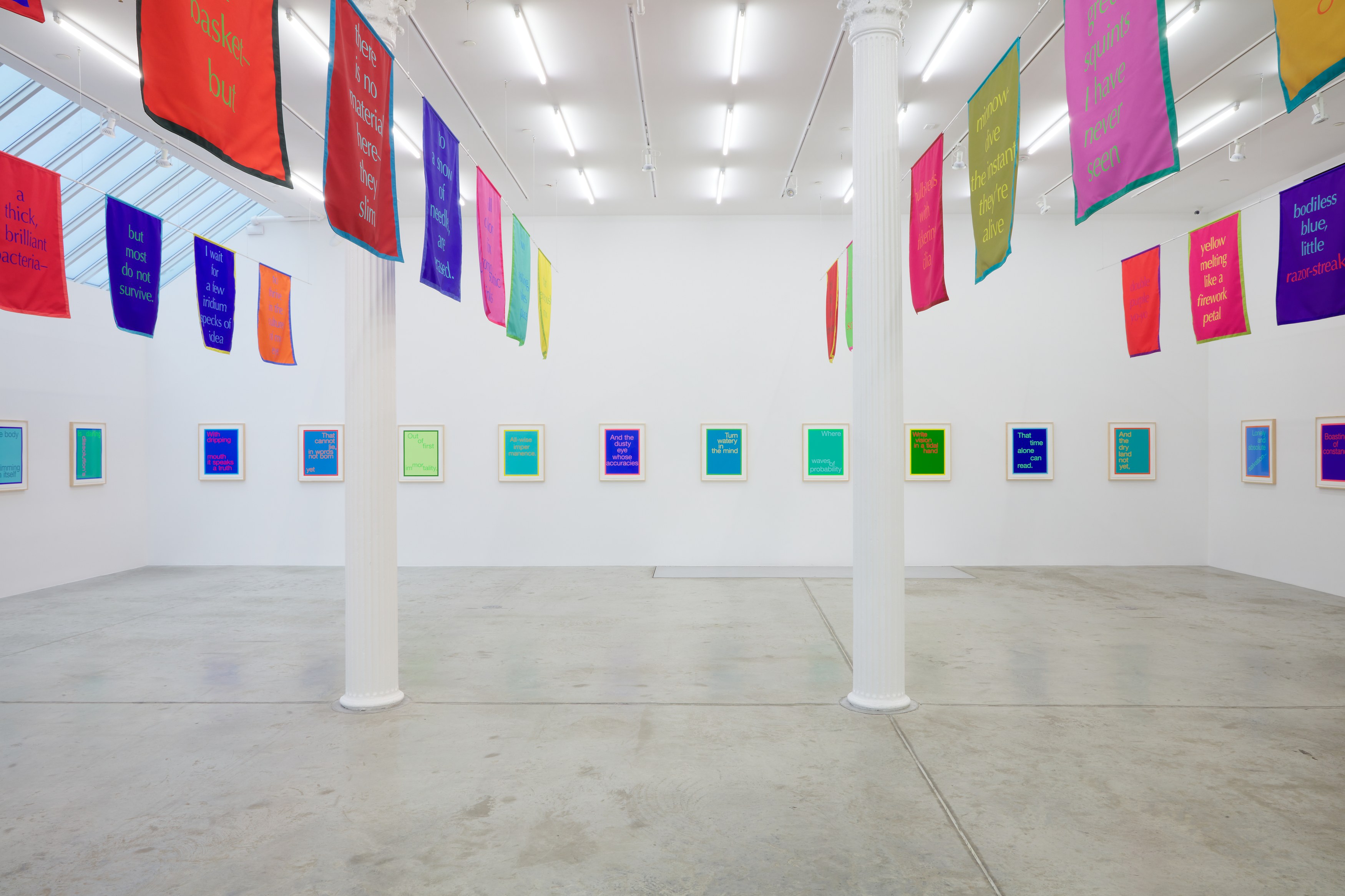 Renée Green, Excerpts at Bortolami, photo 5