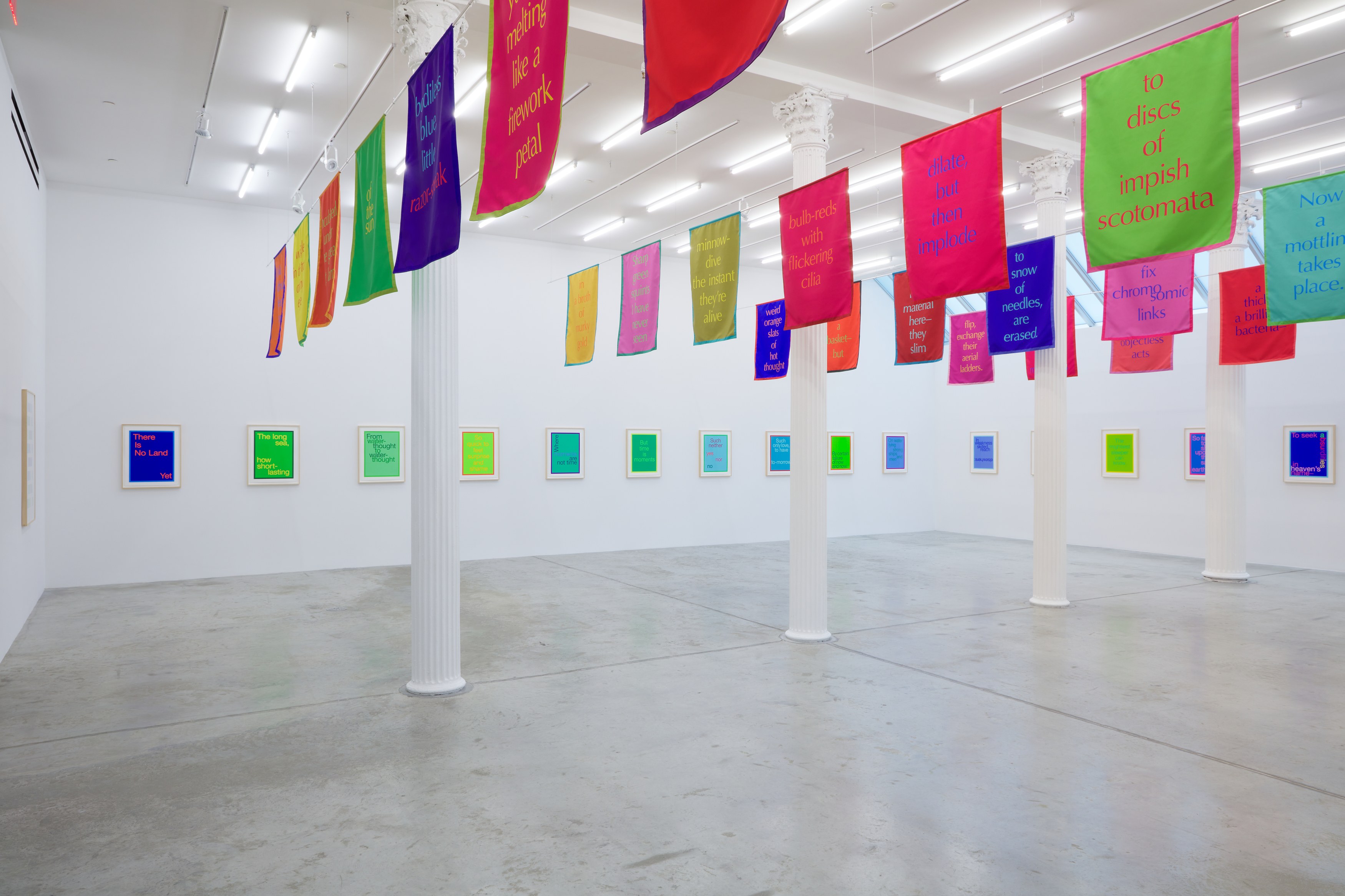 Renée Green, Excerpts at Bortolami, photo 8