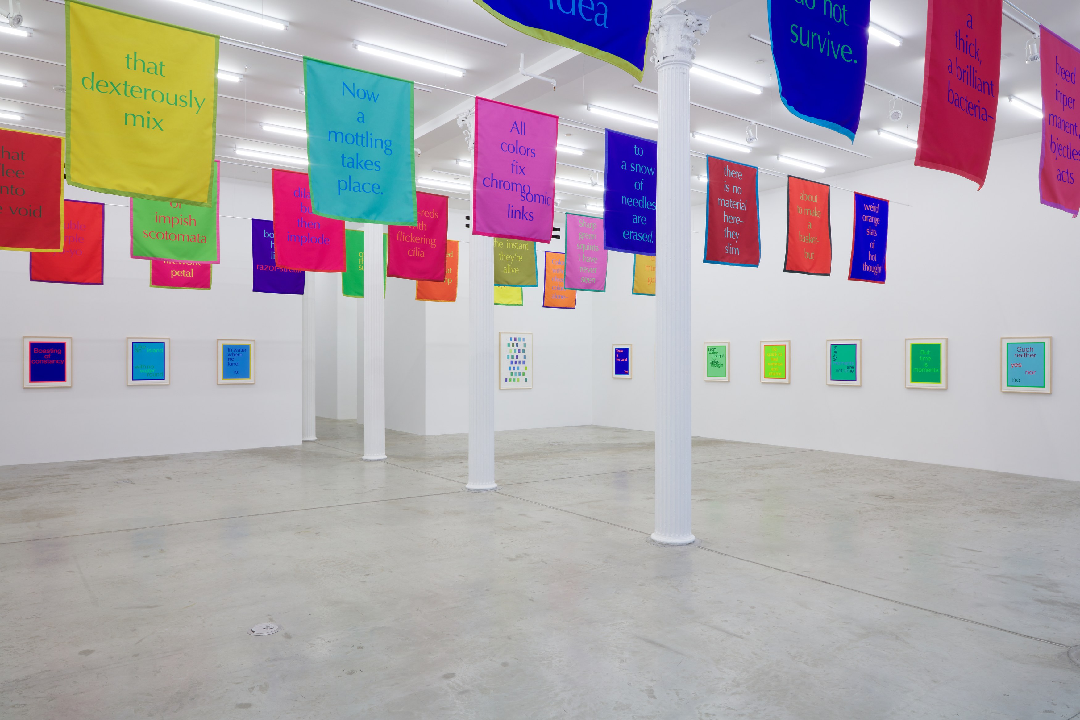 Renée Green, Excerpts at Bortolami, photo 7