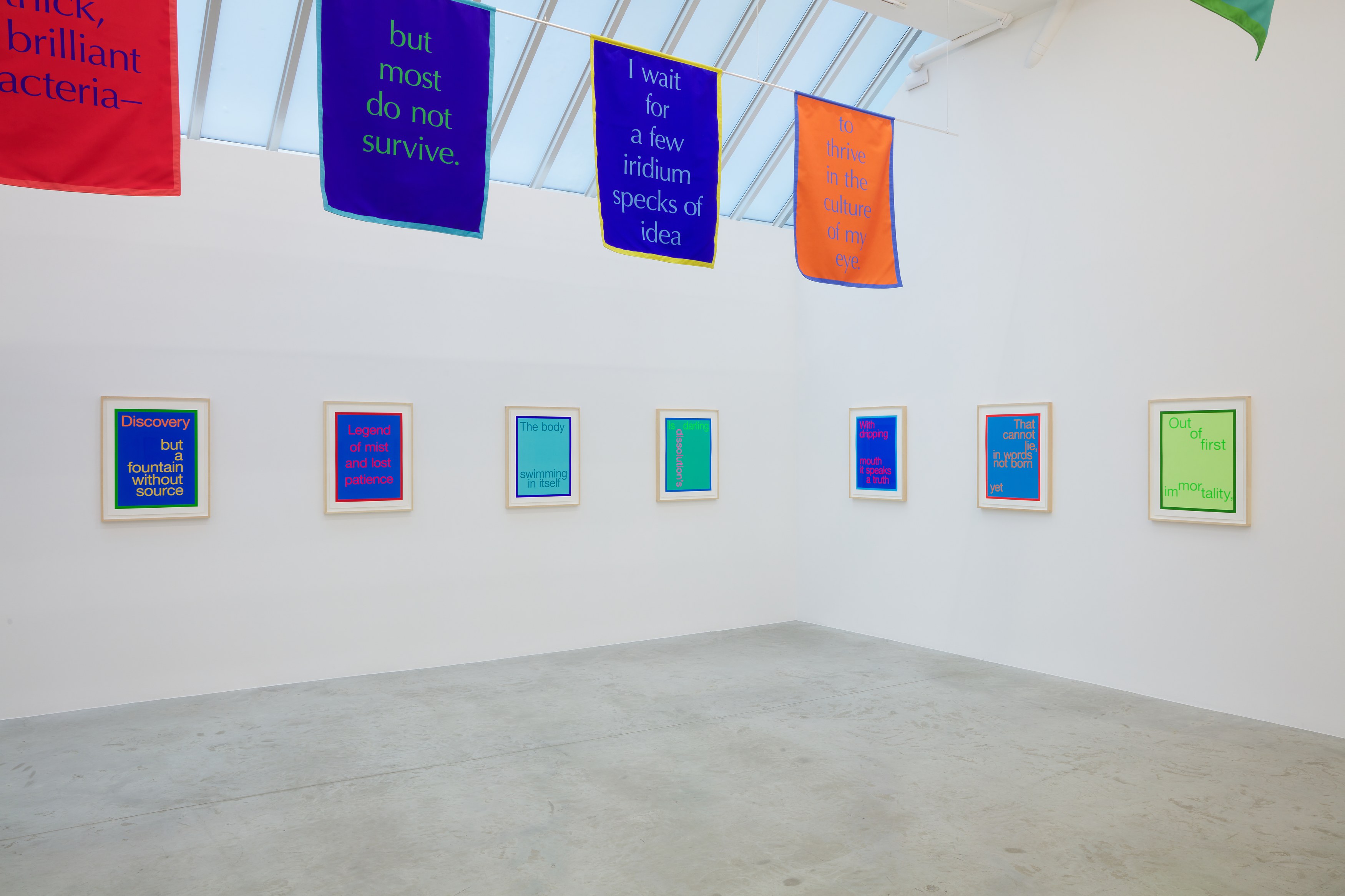 Renée Green, Excerpts at Bortolami, photo 10
