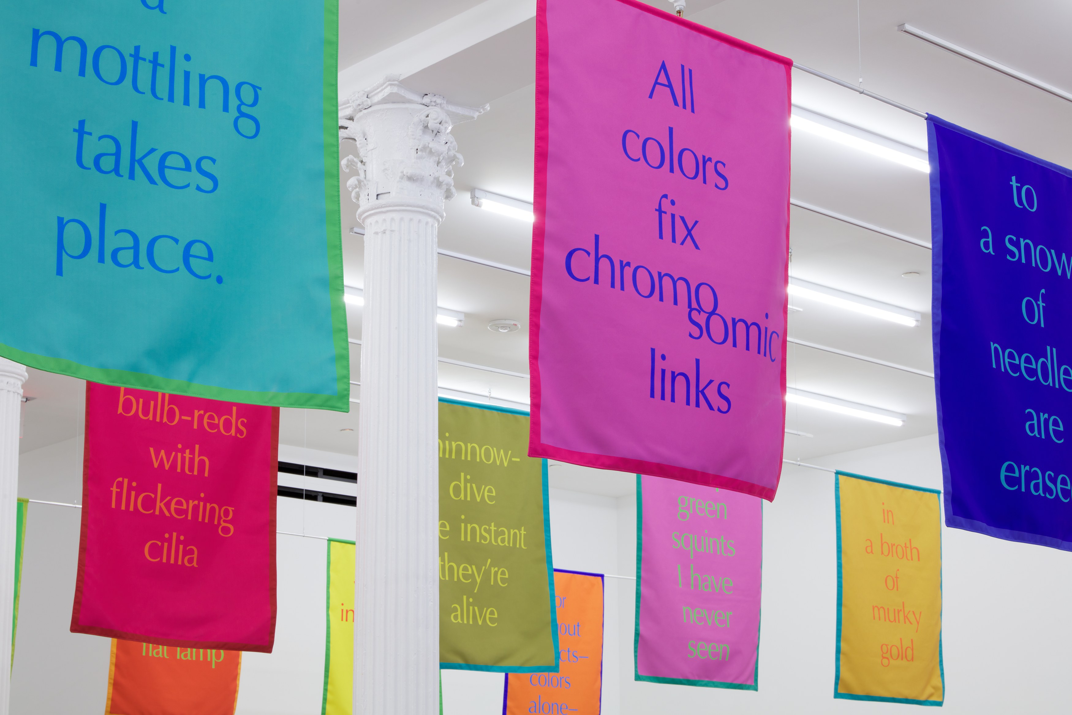 Renée Green, Excerpts at Bortolami, photo 13