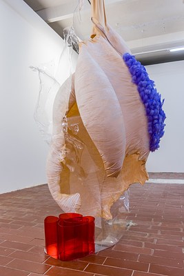 Image 21 of 26