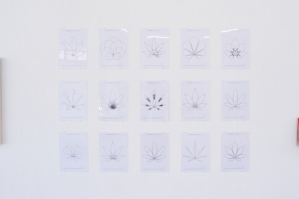 Image 5 of 9