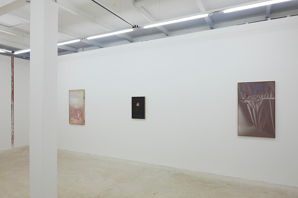 Image 6 of 38
