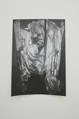 Image 19 of 38