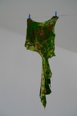 Image 3 of 11