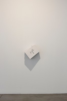Image 2 of 41