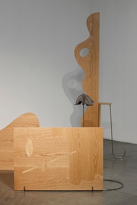 Image 12 of 41