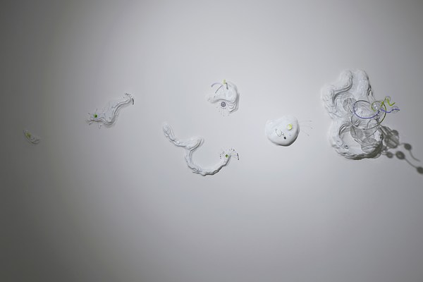 Image 8 of 13