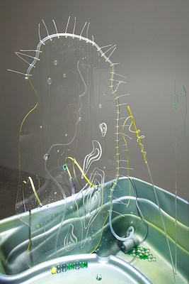 Image 10 of 13