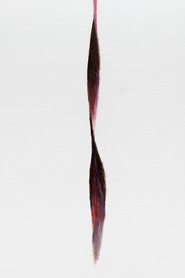 Image 10 of 33