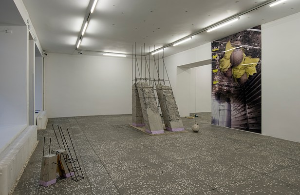 Image 1 of 20