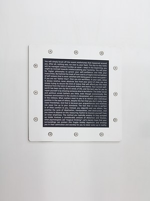 Image 12 of 27