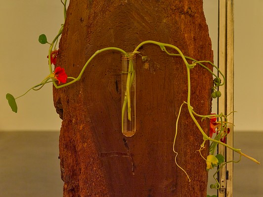 Image 24 of 24