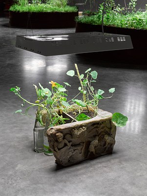 Image 3 of 24