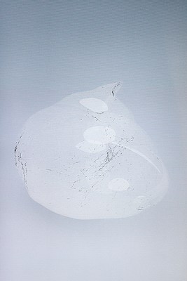 Image 15 of 15