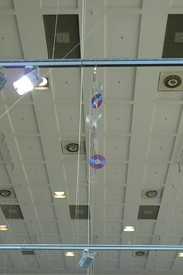 Image 7 of 17