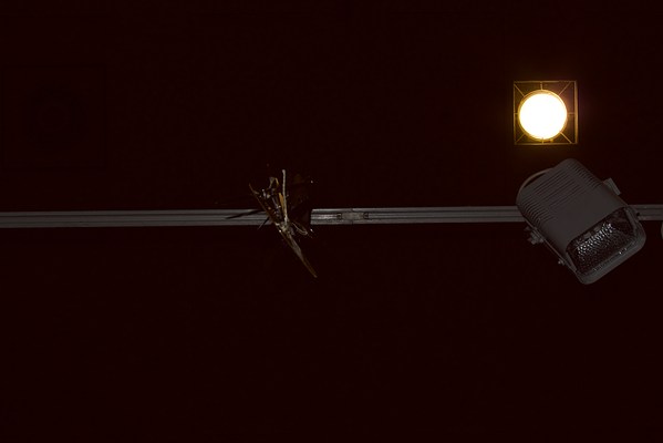 Image 12 of 17