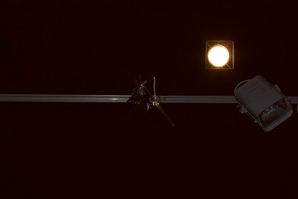 Image 13 of 17